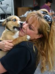 Furry friends in need: Saving Grace offers help feeding pets