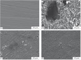 Image result for Endostemon tereticaulis