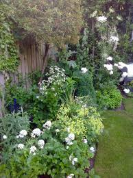 White And Blue Herbaceous Border Easingwold Garden Landscaping With Rocks Beautiful Gardens Garden Borders