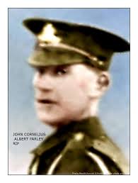 Lives of the First World War