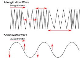 Characteristics of longitudinal and transverse waves class 11 : What Is The Difference Between Longitudinal And Transverse Waves Quora