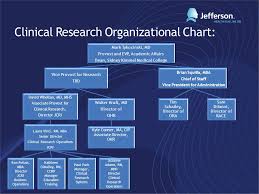 Structure And Organization Of Research At Tju Stephen