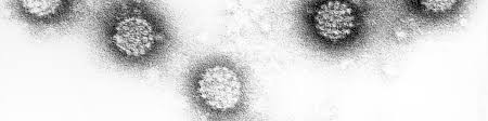 Adolescents are missing out, a new review finds. Humane Papillomviren Und Krebs Hpv Infektion Hpv Test