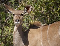 file_3948x2989_072282