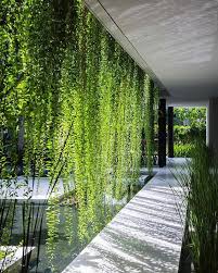 Pin On Vertical Garden Green Wall