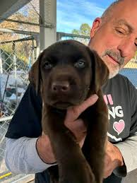 So pretty😍 He needs a sweet name 😍