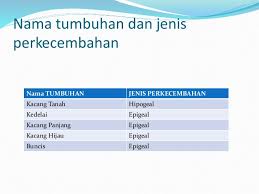Menyemai biji bunga matahari dan membawa lebih banyak matahari ke dalam taman anda anda boleh memilih dari pelbagai jenis yang berbeza bukan sahaja yang paling popular dengan bunga. Contoh Tanaman Epigeal Dan Hipogeal Info Lif Co Id
