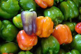What S A Good Bell Pepper Substitute Pepperscale