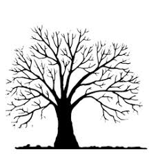 Leaf black and white tree no leaves clipart black and white collection, right click on this leaf clipart black and white and save in your local drive, the leaf clipart black and white image is for personal use only #22924. Tree No Leaves Silhouette Vector Images Over 26 000