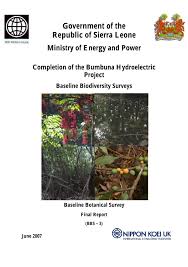 Image result for Sarcophrynium prionogonium