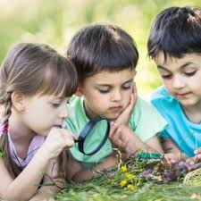 Eyes of the World Nature Immersion