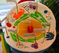 Check spelling or type a new query. Plasmid Twisteddnas Breaking The Bond
