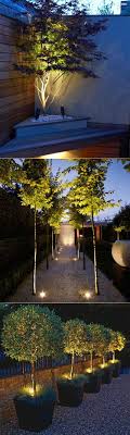 Adding Suitable Led Lights To Your Garden Or Yard Trees Will Greatly Enhance The Night Landscape Backyard Lighting Diy Outdoor Lighting Backyard Lighting Diy