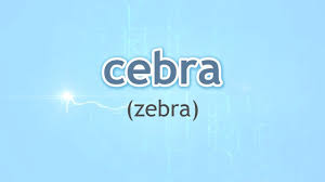 How To Pronounce Zebra Cebra In Spanish Youtube