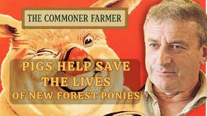 How Pigs Help Save Ponies