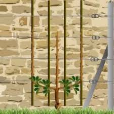 Plan Cabane Bois De Jardin Abri Jardin Bois Cabanes A Outils Cabane Enfant Abri De Jardin Bois Serre En Bois Plans De Construction