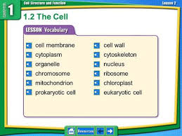 A cell is the basic structural and functional unit of organisms. What S The Difference Plant Animal And Bacterial Cells Ppt Download