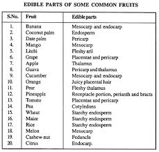 3 Main Types Of Fruits With Diagram