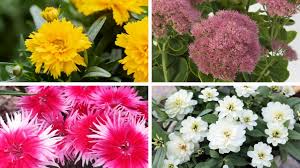 Image result for Otomeria