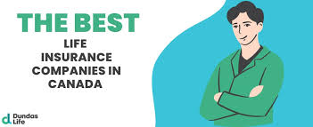 Business Insurance In Canada | Insurance Business Canada