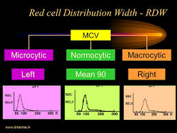 As an adjunct in estimating disease risk (heart disease, cancer,. A Practical Approach To Anemia Ppt Download