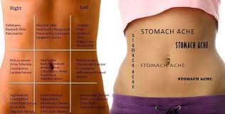 Anatomy and location of the ovaries in humananatomybody.com. Pin On Writing