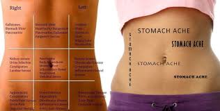 The abdominal cavity is the part of the body that houses the stomach, liver, pancreas, kidneys, gallbladder, spleen, and the large and small intestines. Pin On Human Anatomy Pictures