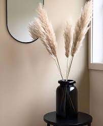 Focus On Pampas Grass Claire Heffer Design Grass Decor Vases Decor H M Home