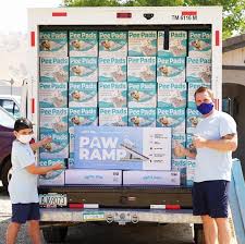 Give a homeless pet a loving forever home. Alpha Paw Partners With Greater Good Rescue Bank Pet Age