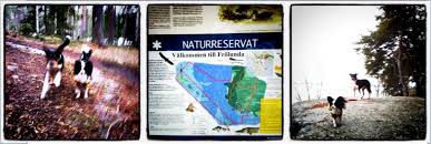 Här finns strövvänliga stigar och möjligheter till bland annat naturstudier, svampplockning, bad och fiske. 52 Naturreservat Ado Lagno 11 Frolunda 12 Team Propiraya