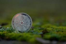 View cardano (ada) price charts in usd and other currencies including real time and historical prices, technical indicators, analysis tools, and other cryptocurrency info at goldprice.org. Cardano Sets Launch Date For Shelley With Ada Staking Ada Up 11