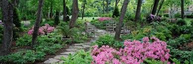 Woodland Style Landscaping Ideas Sisson Landscapes Landscape Design Maintenance Great Fa Woodland Garden Garden Landscape Design Shade Evergreen Shrubs