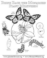 Parent And Teacher Notes On Bas Relief Products Butterfly Coloring Page Monarch Butterfly Coloring Pages