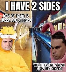 Ascii art or text art of popular internet memes such as pop cat, pepe the frog, big chungus or among us red was not the impostor. I Have Sides Of Them Is I Heotherione I Furry Ben Shapiro Memes Video Gifs Sides Memes Heotherione Memes Furry Memes Ben Memes Shapiro Memes