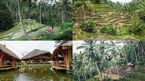 Wisata Ubud Bali Dan Sekitarnya Daya Tarik Tiket Masuk Peta Lokasi