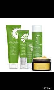 Your daily skin care routine at home will be easy if you have normal skin. Amway Artistry Essential Youth Teenage Cleanser Toner Lotion Man Women Youth Moisturizer Beauty Personal Care Face Face Care On Carousell