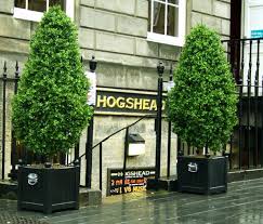 The Best Fake Outdoor Trees Artificial Trees Outdoor Outdoor Topiary Outdoor Plants Landscaping