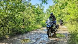 10th Annual Soggy Bottom Motofest