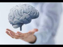 melillo primitive reflexes youtube primitive reflexes cerebrospinal fluid improve brain function