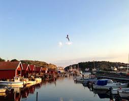 Så fort vi får information om ett. Ellevio