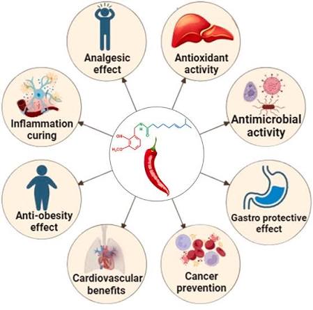 A comprehensive review of capsaicin: Biosynthesis, industrial productions,  processing to applications, and clinical uses: Heliyon