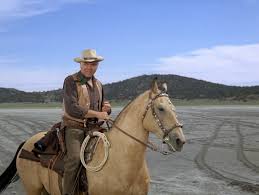 The series is set in the post civil war old west. Horses Of Hollywood Insp Tv Tv Shows And Movies