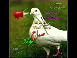 تصبح على خير يا حبيبي youtube good morning wishes comedy song good morning