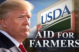 USDA Has Paid Farmers $2.46 Billion In MFP Payments to Date