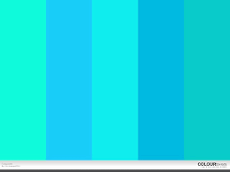 Dilansir kaodim, berikut ini ada lima rekomendasi warna dinding terbaik untuk ruang makan. Sentuhan Warna Turquoise Untuk Tampilan Rumah Minimalis Yang Stylish Dan Modern Arsitag