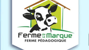 This chain of volcanoes including numerous cinder cones, lava domes and maars is far from the edge of any tectonic plate. Ferme Pedagogique De La Marque 2021 Horaires Tarifs Animaux A Voir Animations