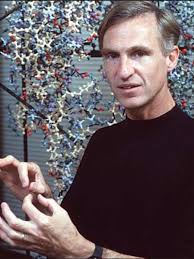 There's No Hiding This Camouflage