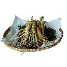 It's also good to know, that एक प्रकार का पुदीना means peppermint in hindi, as well as lemongrass is लेमनग्रास. Himalayan Organics Korean Red Ginseng 1000mg Serve 100 Veg Caspules Amazon In Health Personal Care