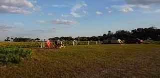 Spent one night at kissimmee prairie preserve to star gaze and see the milky way. Kissimmee Prairie Preserve State Park Florida Hikes