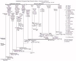 Pin On Language A Bridge